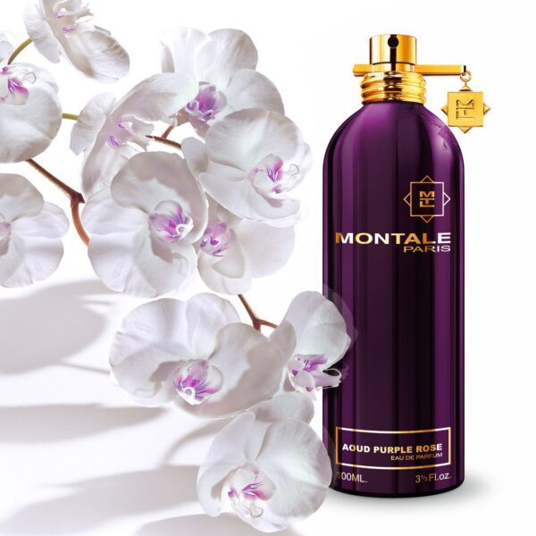 Montale Dark Purple
