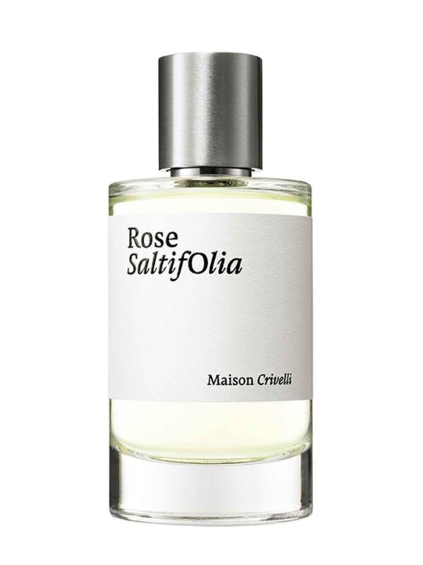 Maison Crivelli Rose Saltifolia