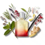 Creed Original Santal