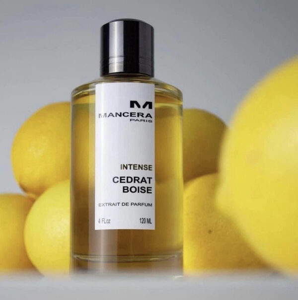 Mancera Intense Cedrat Boise